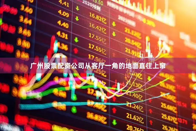 广州股票配资公司从客厅一角的地面直往上窜